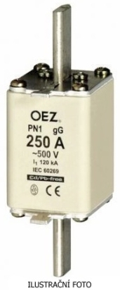 OEZ POJISTKA NOŽOVÁ PN1 125A GG 500V 07237